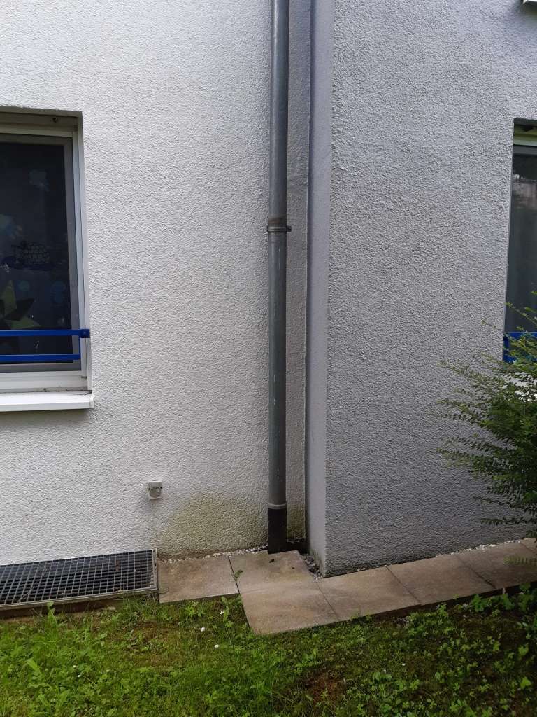 BAU.DE / BAU-Forum: 1. Bild zu Frage "Schimmel oder Salzausbl&uuml;hungen? Ursachen, Unterscheidung & Ma&szlig;nahmen gegen Feuchtigkeit!" im BAU-Forum "Innenw&auml;nde"