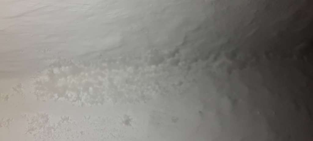 BAU.DE / BAU-Forum: 3. Bild zu Frage "Schimmel oder Salzausbl&uuml;hungen? Ursachen, Unterscheidung & Ma&szlig;nahmen gegen Feuchtigkeit!" im BAU-Forum "Innenw&auml;nde"