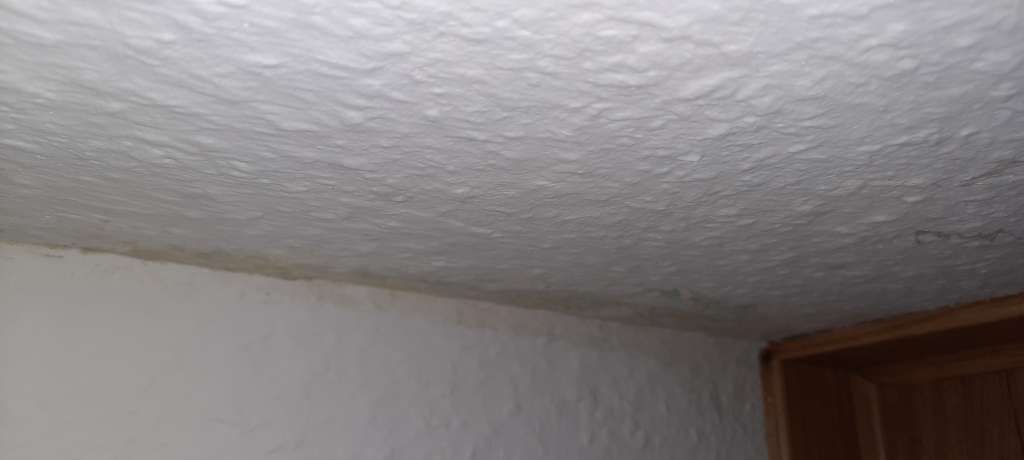 BAU.DE / BAU-Forum: 4. Bild zu Frage "Schimmel oder Salzausbl&uuml;hungen? Ursachen, Unterscheidung & Ma&szlig;nahmen gegen Feuchtigkeit!" im BAU-Forum "Innenw&auml;nde"