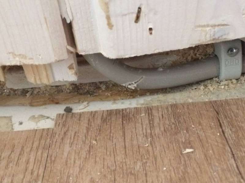 BAU.DE / BAU-Forum: 1. Bild zu Frage "Elektroleitungen fachgerecht verlegt?" im BAU-Forum "Installation: Elektro, Gas, Wasser, Fernw&auml;rme etc."