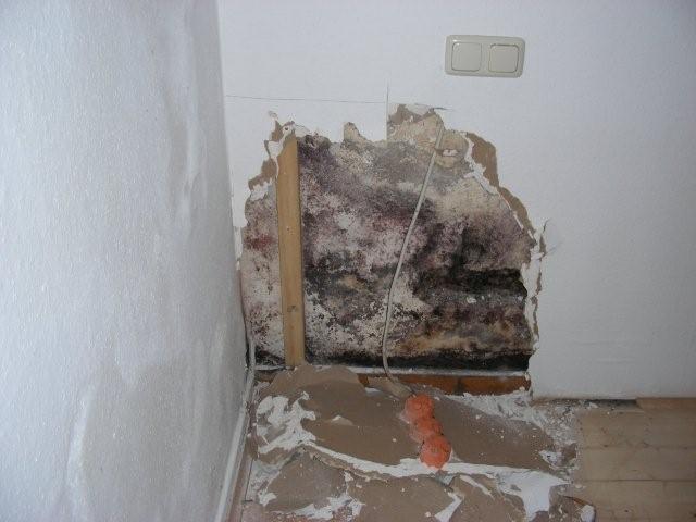 BAU.DE / BAU-Forum: 1. Bild zu Antwort "Alternative zu Schaumglas: I-Bausystem für Kellerdämmung geeignet" auf die Frage "Kellerausbau mit Gipskarton: Risiken, Dämmung & Alternativen für Heimkino?" im BAU-Forum "Keller" BAU.DE / BAU-Forum: 1. Bild zu Antwort "Alternative zu Schaumglas: I-Bausystem für Kellerdämmung geeignet" auf die Frage "Kellerausbau mit Gipskarton: Risiken, Dämmung & Alternativen für Heimkino?" im BAU-Forum "Keller"