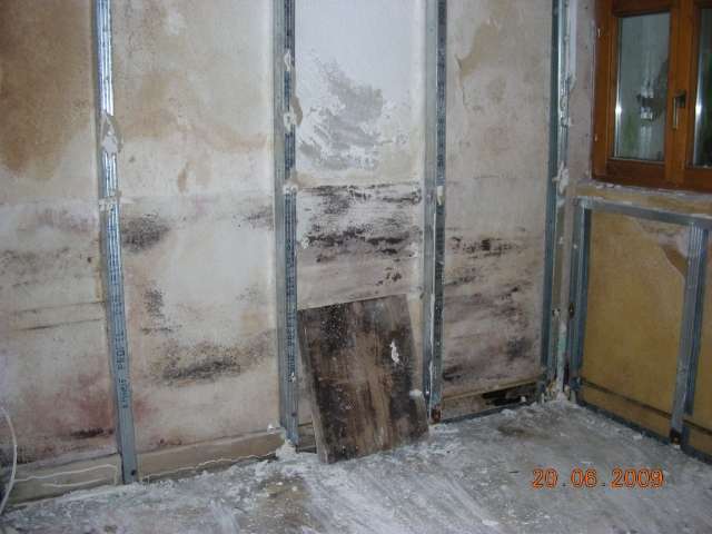 BAU.DE / BAU-Forum: 1. Bild zu Antwort "Inneninstandsetzung: Fachgerechte Ausf&uuml;hrung &ndash; Erfolgsgarant!" auf die Frage "Keller im Altbau ausbauen: Wohnraum schaffen &ndash; Kosten, D&auml;mmung & Feuchtigkeit?" im BAU-Forum "Keller"