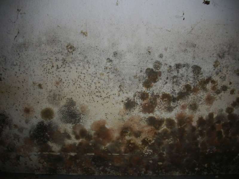 BAU.DE / BAU-Forum: 2. Bild zu Frage "Wasserortung in Garage: Ursachen f&uuml;r Wasserflecken auf Bodenplatte finden (NRW)" im BAU-Forum "Keller"