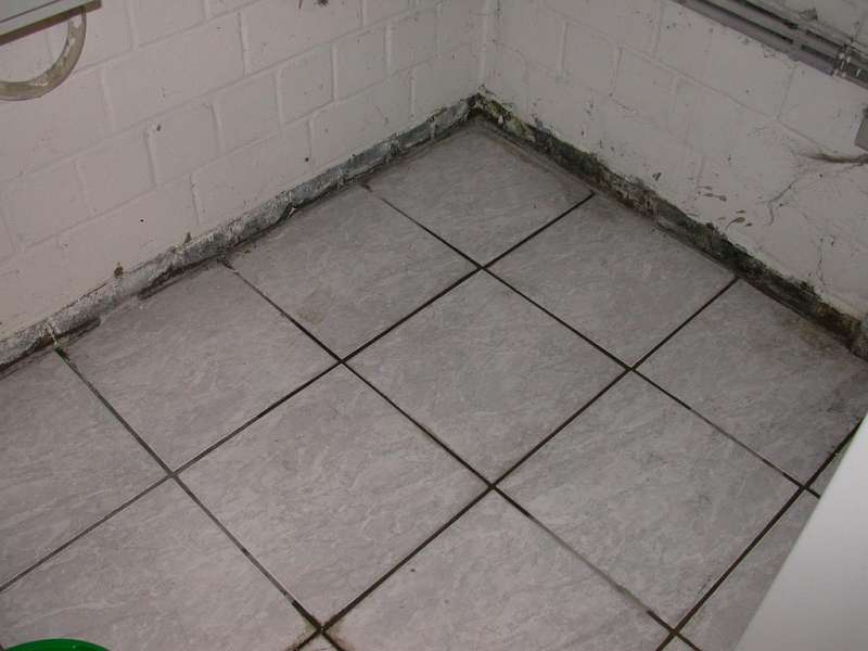 BAU.DE / BAU-Forum: 1. Bild zu Antwort "Keller Wasserschaden: Bilder zur Analyse von Drainage und Abdichtung" auf die Frage "Wasser im Keller: Ursachen finden, Sch&auml;den beheben & Abdichtung verbessern?" im BAU-Forum "Keller"