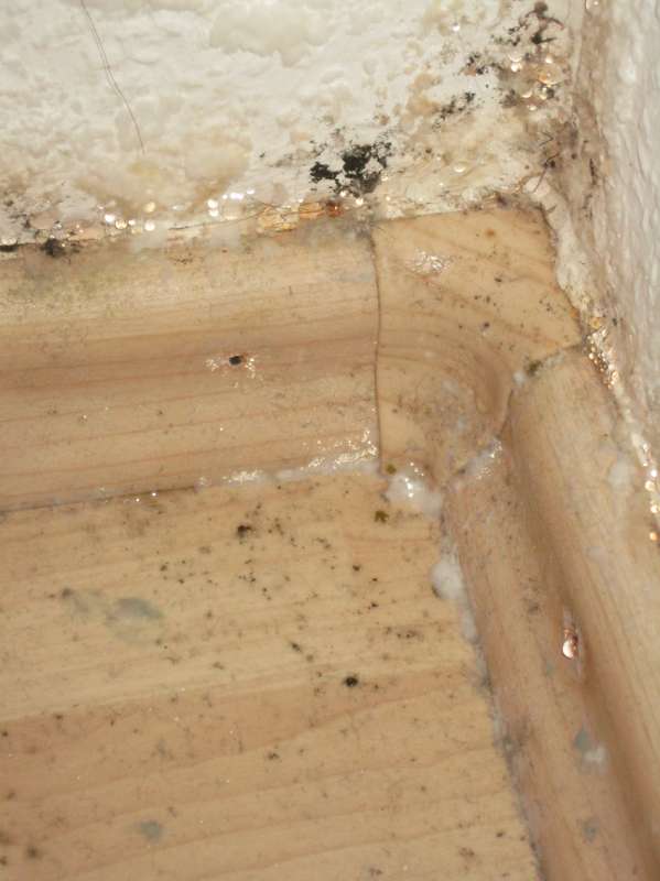 BAU.DE / BAU-Forum: 1. Bild zu Frage "Salzausbl&uuml;hungen im Souterrain: Ursachen, Gefahren & richtiges L&uuml;ften?" im BAU-Forum "Keller"