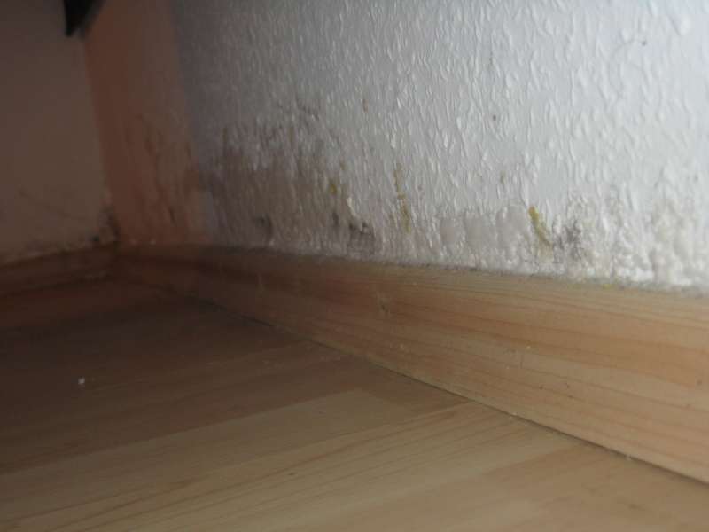 BAU.DE / BAU-Forum: 2. Bild zu Frage "Salzausbl&uuml;hungen im Souterrain: Ursachen, Gefahren & richtiges L&uuml;ften?" im BAU-Forum "Keller"