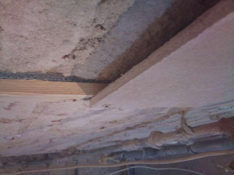 BAU.DE / BAU-Forum: 1. Bild zu Antwort "Hier ein Foto" auf die Frage "Kellerwand im Altbau verputzen: Sanierputz bei hohem Grundwasserspiegel sinnvoll?" im BAU-Forum "Keller"