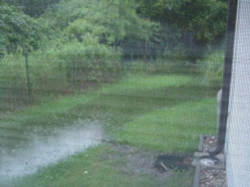 BAU.DE / BAU-Forum: 2. Bild zu Frage "Feuchtigkeit in EG-Wohnung ohne Keller: Ursachen, Risiken & Sanierung von WU-Bodenplatten?" im BAU-Forum "Keller"