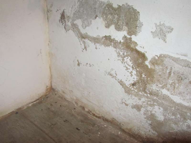 BAU.DE / BAU-Forum: 1. Bild zu Frage "Feuchte Kellerw&auml;nde" im BAU-Forum "Keller"