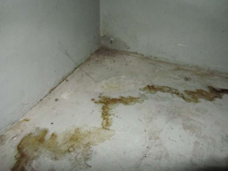 BAU.DE / BAU-Forum: 2. Bild zu Frage "Feuchte Kellerw&auml;nde" im BAU-Forum "Keller"