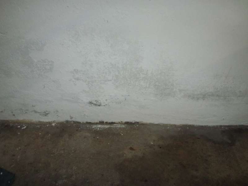 BAU.DE / BAU-Forum: 4. Bild zu Frage "Feuchte Kellerw&auml;nde" im BAU-Forum "Keller"