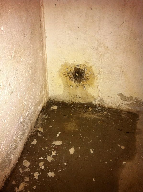 BAU.DE / BAU-Forum: 1. Bild zu Frage "Holz in Kellerwand eingegossen" im BAU-Forum "Keller"