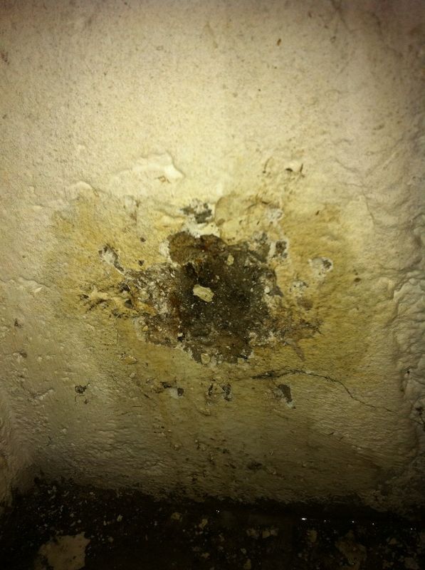 BAU.DE / BAU-Forum: 2. Bild zu Frage "Holz in Kellerwand eingegossen" im BAU-Forum "Keller"