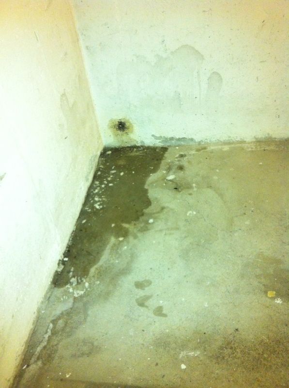 BAU.DE / BAU-Forum: 3. Bild zu Frage "Holz in Kellerwand eingegossen" im BAU-Forum "Keller"