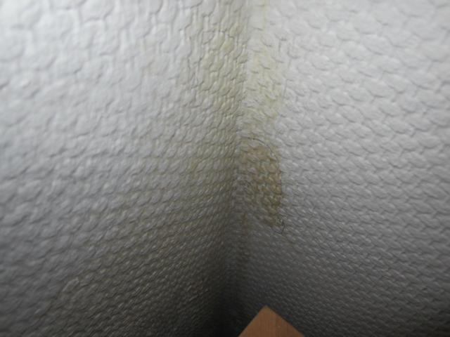 BAU.DE / BAU-Forum: 3. Bild zu Frage "In unserem Reihenmittelhaus haben wir in..." im BAU-Forum "Keller"