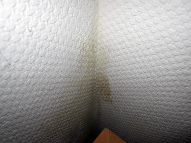 BAU.DE / BAU-Forum: 4. Bild zu Frage "In unserem Reihenmittelhaus -Baujahr 1999 &nbsp;-&nbsp;..." im BAU-Forum "Keller"