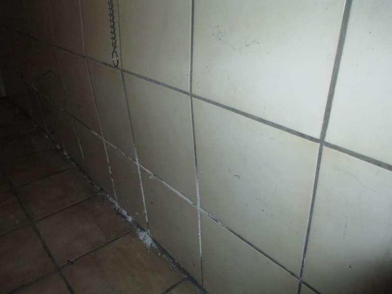 BAU.DE / BAU-Forum: 2. Bild zu Frage "Schaden im Saunaraum" im BAU-Forum "Keller"