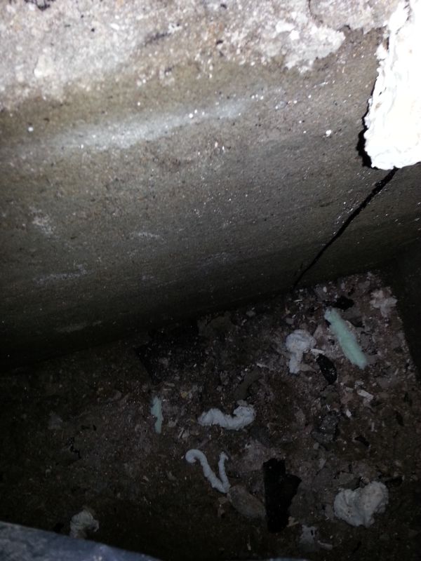 BAU.DE / BAU-Forum: 2. Bild zu Frage "Schimmel nach Sanierung des Fu&szlig;bodens (Kriechkeller aus Gro&szlig;vaters Zeiten).." im BAU-Forum "Keller"