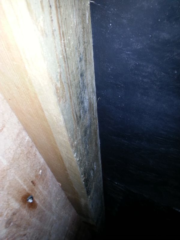 BAU.DE / BAU-Forum: 3. Bild zu Frage "Schimmel nach Sanierung des Fu&szlig;bodens (Kriechkeller aus Gro&szlig;vaters Zeiten).." im BAU-Forum "Keller"