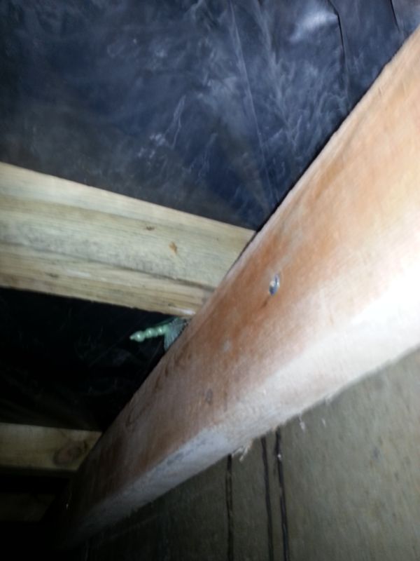 BAU.DE / BAU-Forum: 4. Bild zu Frage "Schimmel nach Sanierung des Fu&szlig;bodens (Kriechkeller aus Gro&szlig;vaters Zeiten).." im BAU-Forum "Keller"