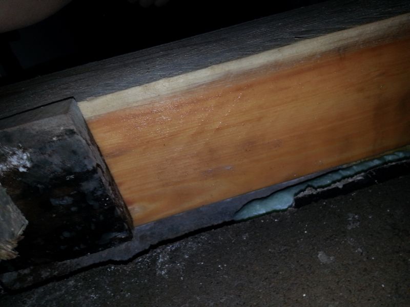 BAU.DE / BAU-Forum: 5. Bild zu Frage "Schimmel nach Sanierung des Fu&szlig;bodens (Kriechkeller aus Gro&szlig;vaters Zeiten).." im BAU-Forum "Keller"