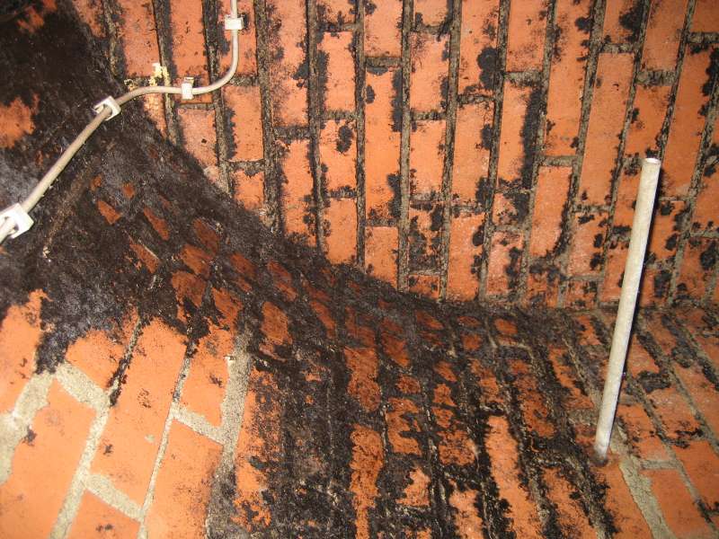 BAU.DE / BAU-Forum: 2. Bild zu Frage "Hallo, ich habe au&szlig;erhalb von meinem Keller..." im BAU-Forum "Keller"