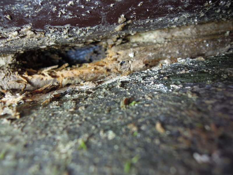 BAU.DE / BAU-Forum: 4. Bild zu Frage "Oberfl&auml;chenwasser von Terrasse dringt in Kellerwand ein" im BAU-Forum "Keller"