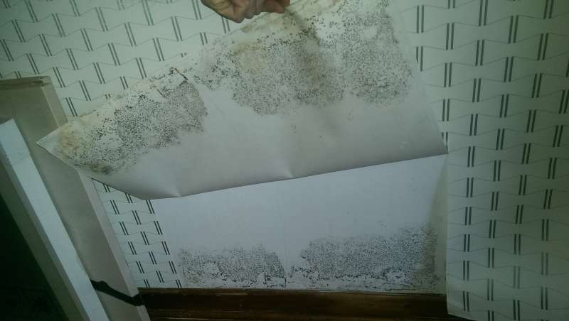 BAU.DE / BAU-Forum: 1. Bild zu Antwort "Ich konnte leider nicht vorher wissen..." auf die Frage "Kellerraum mit Erde bef&uuml;llt: Ursachen, Risiken & Sanierungsm&ouml;glichkeiten?" im BAU-Forum "Keller"