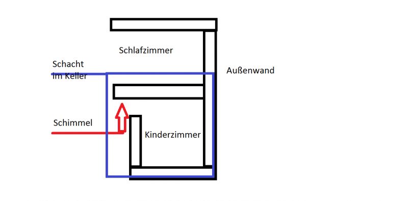 BAU.DE / BAU-Forum: 3. Bild zu Antwort "Ich konnte leider nicht vorher wissen..." auf die Frage "Kellerraum mit Erde bef&uuml;llt: Ursachen, Risiken & Sanierungsm&ouml;glichkeiten?" im BAU-Forum "Keller"