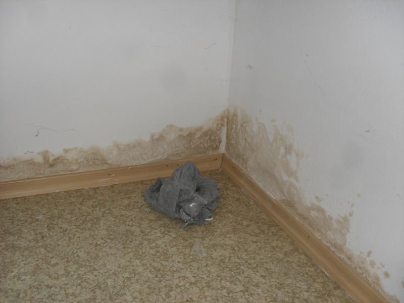 BAU.DE / BAU-Forum: 1. Bild zu Frage "Isolierfarbe deckt nicht &nbsp;-&nbsp; Schimmel (?) kommt durch" im BAU-Forum "Keller"