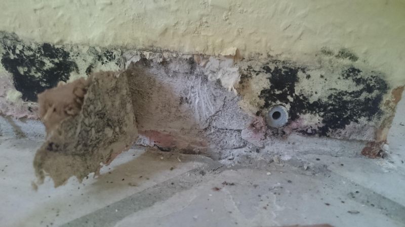 BAU.DE / BAU-Forum: 3. Bild zu Frage "Schimmel hinter Fu&szlig;leisten N&auml;he Kellereingangst&uuml;r. Ursache?" im BAU-Forum "Keller"