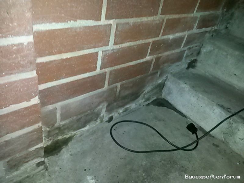 BAU.DE / BAU-Forum: 2. Bild zu Frage "feuchter Kellerabgang" im BAU-Forum "Keller" BAU.DE / BAU-Forum: 2. Bild zu Frage "feuchter Kellerabgang" im BAU-Forum "Keller"