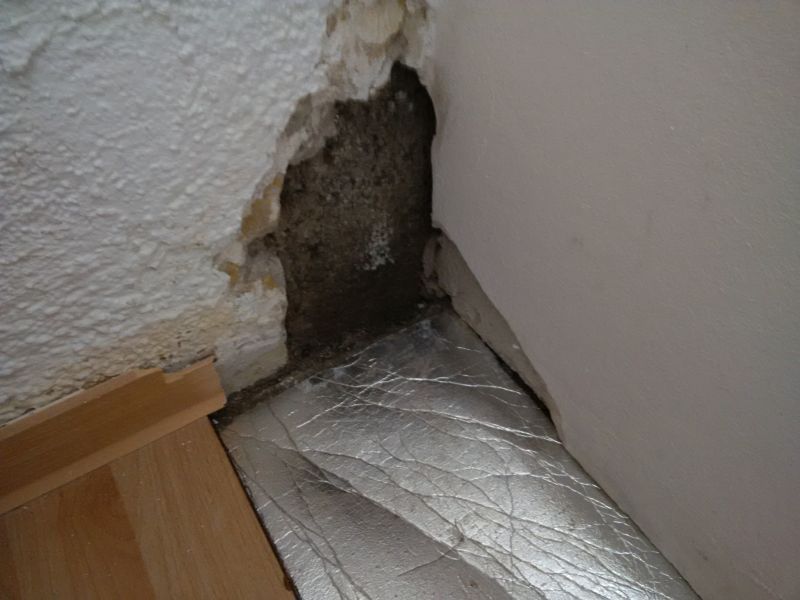 BAU.DE / BAU-Forum: 1. Bild zu Frage "Feuchtigkeit im Keller / Ecke zur anderen Doppelhaushälfte und Garten / Wasser von unten?" im BAU-Forum "Keller" BAU.DE / BAU-Forum: 1. Bild zu Frage "Feuchtigkeit im Keller / Ecke zur anderen Doppelhaushälfte und Garten / Wasser von unten?" im BAU-Forum "Keller"