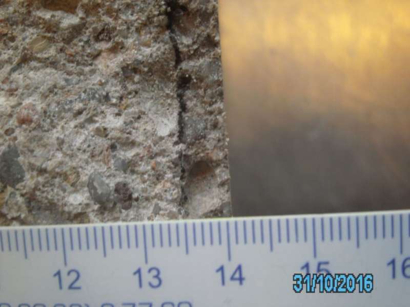 BAU.DE / BAU-Forum: 1. Bild zu Antwort "Wenn die Holztreppe nach jahrelangem" auf die Frage "Feuchter Keller im Bauernhaus (1837): Ursachen, Sanierung & Drainage bei Hanglage?" im BAU-Forum "Keller" BAU.DE / BAU-Forum: 1. Bild zu Antwort "Wenn die Holztreppe nach jahrelangem" auf die Frage "Feuchter Keller im Bauernhaus (1837): Ursachen, Sanierung & Drainage bei Hanglage?" im BAU-Forum "Keller"