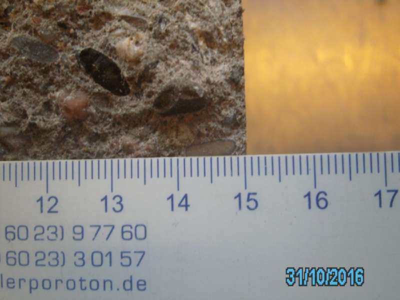 BAU.DE / BAU-Forum: 2. Bild zu Antwort "Wenn die Holztreppe nach jahrelangem" auf die Frage "Feuchter Keller im Bauernhaus (1837): Ursachen, Sanierung & Drainage bei Hanglage?" im BAU-Forum "Keller" BAU.DE / BAU-Forum: 2. Bild zu Antwort "Wenn die Holztreppe nach jahrelangem" auf die Frage "Feuchter Keller im Bauernhaus (1837): Ursachen, Sanierung & Drainage bei Hanglage?" im BAU-Forum "Keller"