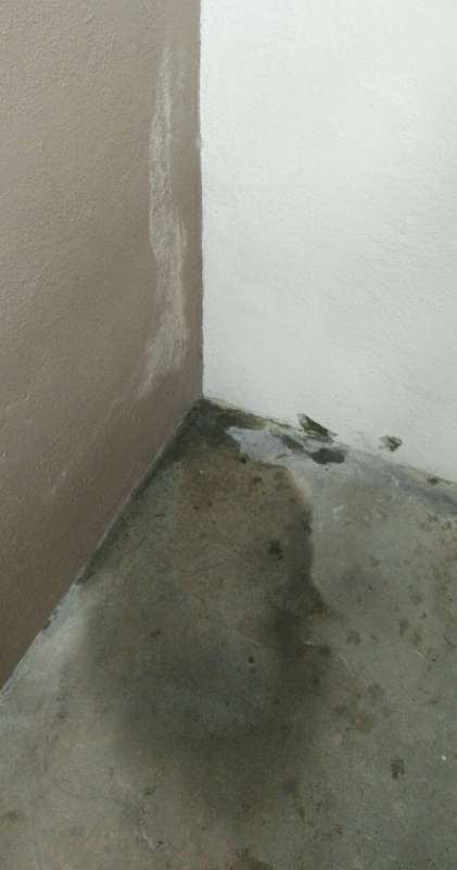 BAU.DE / BAU-Forum: 5. Bild zu Frage "Kellertreppe Feuchtigkeit bei Regen" im BAU-Forum "Keller" BAU.DE / BAU-Forum: 5. Bild zu Frage "Kellertreppe Feuchtigkeit bei Regen" im BAU-Forum "Keller"