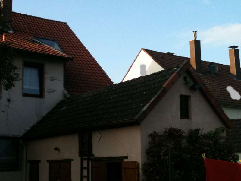 BAU.DE / BAU-Forum: 1. Bild zu Antwort "Hallo Leute, ich habe Bilder gemacht die..." auf die Frage "Schweinestall zur Terrasse umbauen: Kosten, Statik & Genehmigungen pr&uuml;fen?" im BAU-Forum "Neubau"