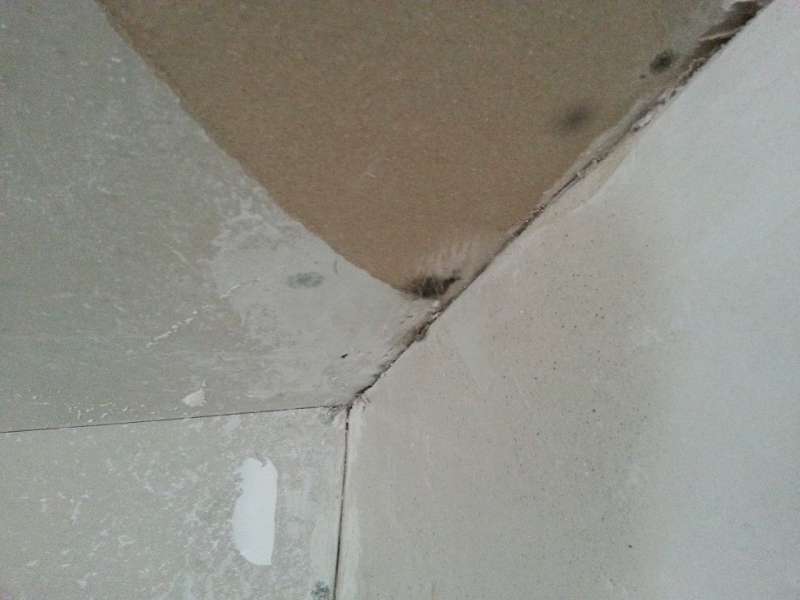 BAU.DE / BAU-Forum: 2. Bild zu Frage "Neubau &nbsp;-&nbsp; Schimmel an Rigips Decken in gesamter Wohnung" im BAU-Forum "Neubau"