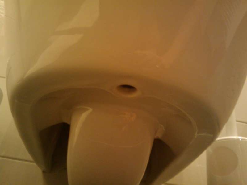 BAU.DE / BAU-Forum: 1. Bild zu Antwort "Foto... endlich" auf die Frage "WC Montage: Wer zahlt Demontage & Neumontage bei Haarriss nach Online-Kauf?" im BAU-Forum "Sanitär, Bad, Dusche, WC" BAU.DE / BAU-Forum: 1. Bild zu Antwort "Foto... endlich" auf die Frage "WC Montage: Wer zahlt Demontage & Neumontage bei Haarriss nach Online-Kauf?" im BAU-Forum "Sanitär, Bad, Dusche, WC"