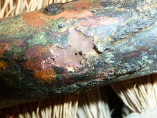 BAU.DE / BAU-Forum: 2. Bild zu Frage "Kupferrohr Lochfraß" im BAU-Forum "Sanitär, Bad, Dusche, WC" BAU.DE / BAU-Forum: 2. Bild zu Frage "Kupferrohr Lochfraß" im BAU-Forum "Sanitär, Bad, Dusche, WC"