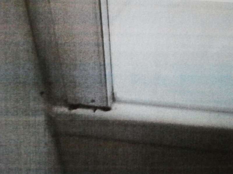 BAU.DE / BAU-Forum: 1. Bild zu Frage "Schimmel in Duschkabine - Einbaufehler?" im BAU-Forum "Sanitär, Bad, Dusche, WC" BAU.DE / BAU-Forum: 1. Bild zu Frage "Schimmel in Duschkabine - Einbaufehler?" im BAU-Forum "Sanitär, Bad, Dusche, WC"