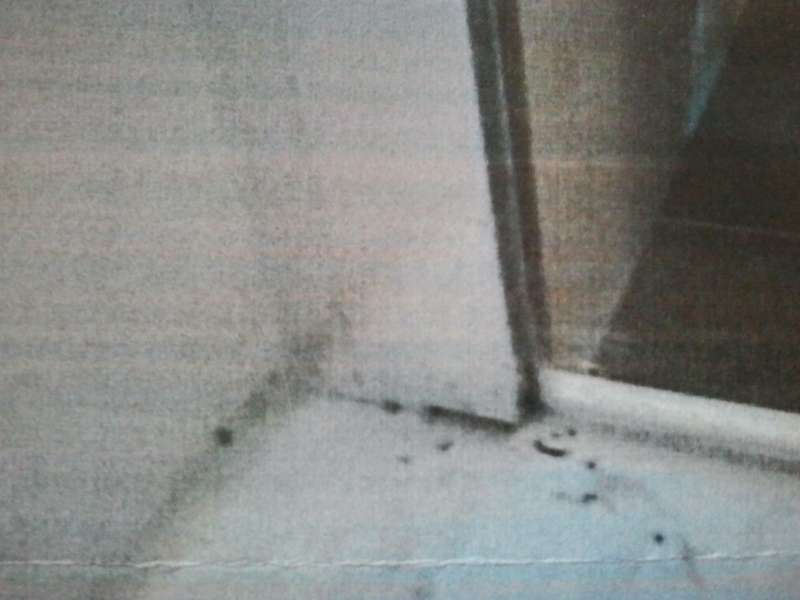 BAU.DE / BAU-Forum: 2. Bild zu Frage "Schimmel in Duschkabine - Einbaufehler?" im BAU-Forum "Sanitär, Bad, Dusche, WC" BAU.DE / BAU-Forum: 2. Bild zu Frage "Schimmel in Duschkabine - Einbaufehler?" im BAU-Forum "Sanitär, Bad, Dusche, WC"