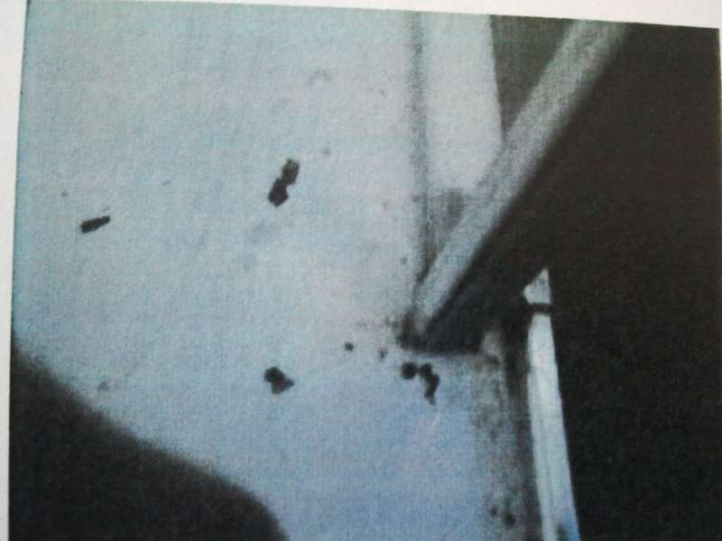 BAU.DE / BAU-Forum: 3. Bild zu Frage "Schimmel in Duschkabine - Einbaufehler?" im BAU-Forum "Sanitär, Bad, Dusche, WC" BAU.DE / BAU-Forum: 3. Bild zu Frage "Schimmel in Duschkabine - Einbaufehler?" im BAU-Forum "Sanitär, Bad, Dusche, WC"