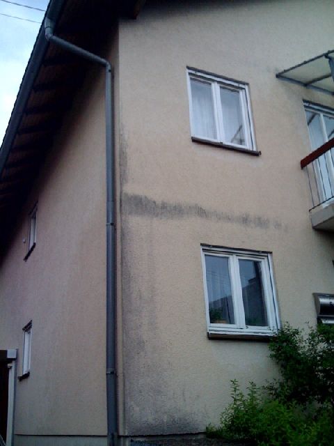 BAU.DE / BAU-Forum: 1. Bild zu Frage "Schimmel in Mietwohnung: Ursachen, Gesundheitsrisiken & Sanierung &ndash; Zusammenhang mit Pilzbefall?" im BAU-Forum "Modernisierung / Sanierung / Bausch&auml;den"