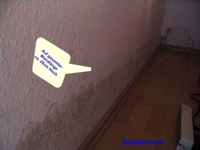 BAU.DE / BAU-Forum: 2. Bild zu Frage "Schimmel im Altbau (EG) durch Boden: Ursachen, Risiken & Sanierung?" im BAU-Forum "Modernisierung / Sanierung / Bausch&auml;den"
