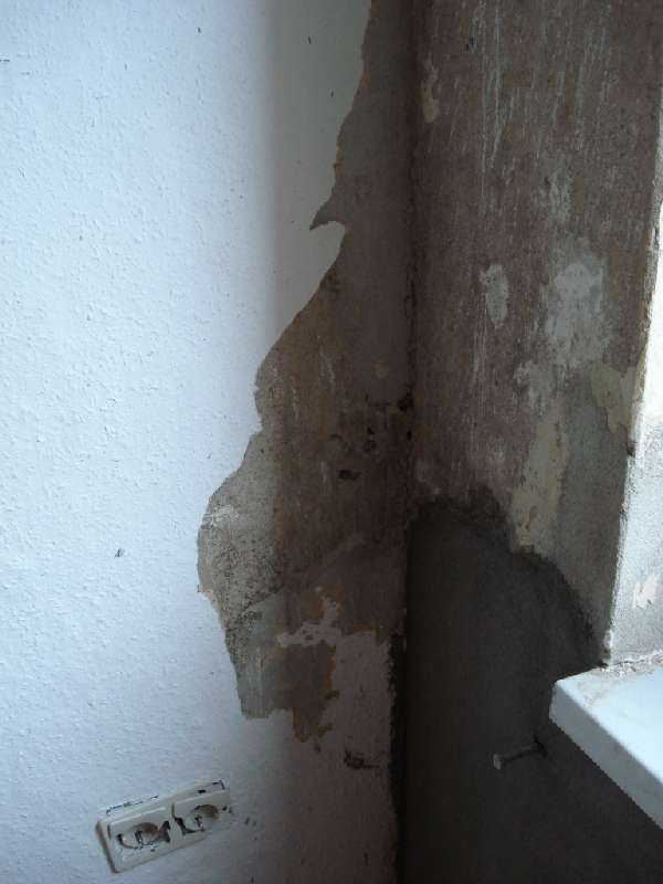 BAU.DE / BAU-Forum: 4. Bild zu Antwort "Schimmel im Altbau: Bilder der Sanierung als Ursachenforschung" auf die Frage "Kondenswasser am Fenster innen: Ursachen, Ma&szlig;nahmen & Risiken im Altbau?" im BAU-Forum "Modernisierung / Sanierung / Bausch&auml;den"
