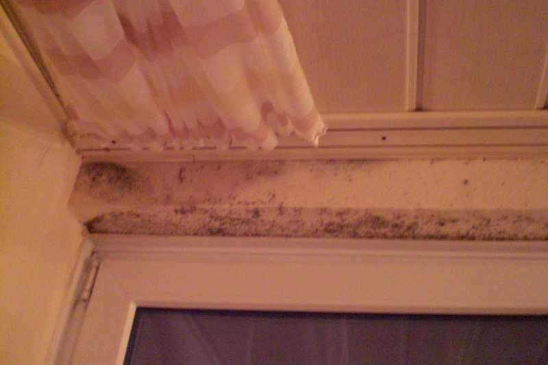 BAU.DE / BAU-Forum: 1. Bild zu Frage "Schimmel in Wohnung: Ursachen erkennen (Baum&auml;ngel vs. L&uuml;ften) & Sanierung?" im BAU-Forum "Modernisierung / Sanierung / Bausch&auml;den"