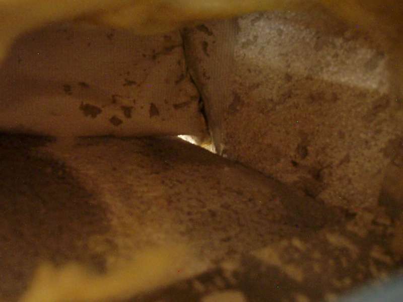 BAU.DE / BAU-Forum: 1. Bild zu Antwort "Feuchtigkeit am Kamin: Ursache durch fehlende D&auml;mmung?" auf die Frage "Schwarze Verf&auml;rbung am Kamin der Brennwerttherme: Ursachen, Risiken & Sanierung?" im BAU-Forum "Modernisierung / Sanierung / Bausch&auml;den"