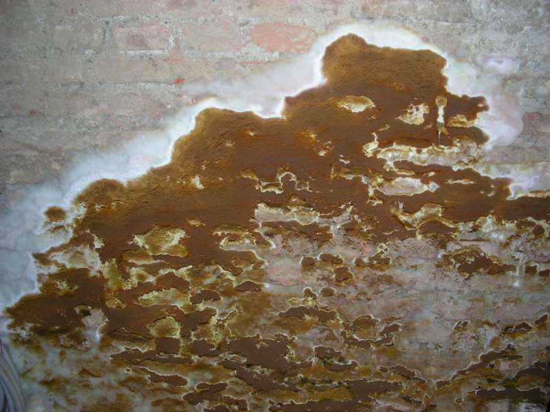 BAU.DE / BAU-Forum: 1. Bild zu Antwort "Zusatzinfo: Gesund wohnen in Altbauten – Feuchte & Schwammschäden" auf die Frage "Bau-Ratgeber für Laien: Bauweisen, Bauteile & TGA erklärt – mit Kostenübersicht?" im BAU-Forum "Modernisierung / Sanierung / Bauschäden" BAU.DE / BAU-Forum: 1. Bild zu Antwort "Zusatzinfo: Gesund wohnen in Altbauten – Feuchte & Schwammschäden" auf die Frage "Bau-Ratgeber für Laien: Bauweisen, Bauteile & TGA erklärt – mit Kostenübersicht?" im BAU-Forum "Modernisierung / Sanierung / Bauschäden"