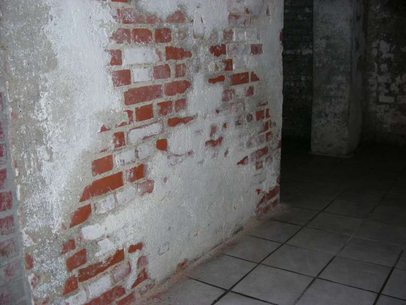 BAU.DE / BAU-Forum: 2. Bild zu Antwort "Zusatzinfo: Gesund wohnen in Altbauten – Feuchte & Schwammschäden" auf die Frage "Bau-Ratgeber für Laien: Bauweisen, Bauteile & TGA erklärt – mit Kostenübersicht?" im BAU-Forum "Modernisierung / Sanierung / Bauschäden" BAU.DE / BAU-Forum: 2. Bild zu Antwort "Zusatzinfo: Gesund wohnen in Altbauten – Feuchte & Schwammschäden" auf die Frage "Bau-Ratgeber für Laien: Bauweisen, Bauteile & TGA erklärt – mit Kostenübersicht?" im BAU-Forum "Modernisierung / Sanierung / Bauschäden"